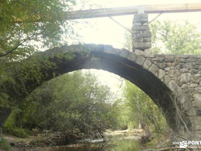 Bosques de Valsaín y Real Sitio de La Granja: Ruta de Senderismo; excursiones senderismo madrid club
